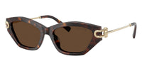 Tiffany TF4231U#colour_havana-light-brown