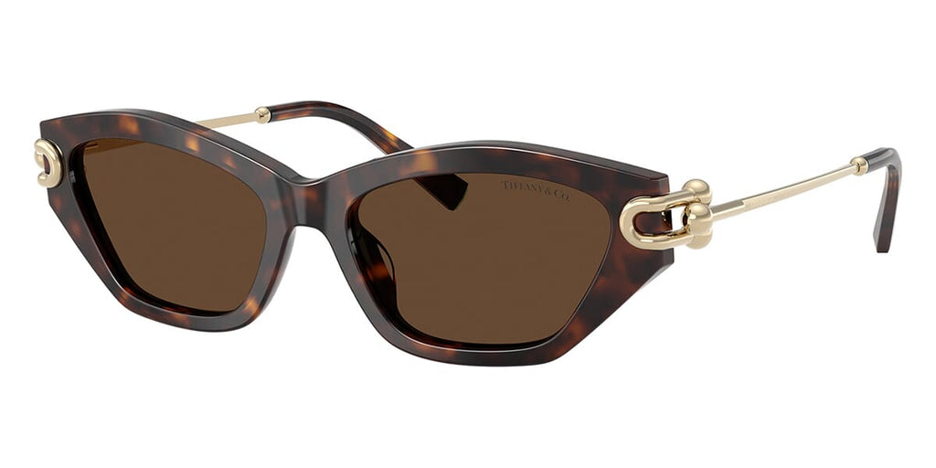 Tiffany TF4231U Cat Eye Sunglasses | Fashion Eyewear US