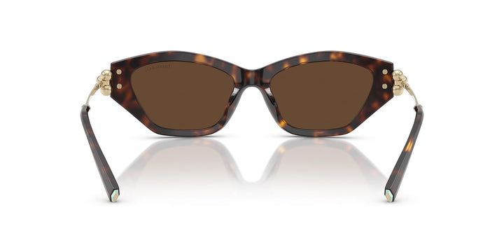 Tiffany TF4231U Cat Eye Sunglasses | Fashion Eyewear US display picture 2