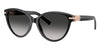 Tiffany TF4261 #colour_black/grey gradient