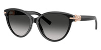 Tiffany TF4261 #colour_black/grey gradient