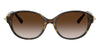 Tiffany TF4263D #colour_havana on tiffany blue/brown gradient