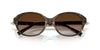 Tiffany TF4263D #colour_havana on tiffany blue/brown gradient