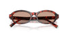 #colour_ruby-havana-brown