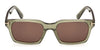 #colour_shiny-dark-green-brown