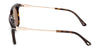 #colour_dark-havana-brown-polarised