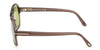#colour_shiny-dark-brown-green