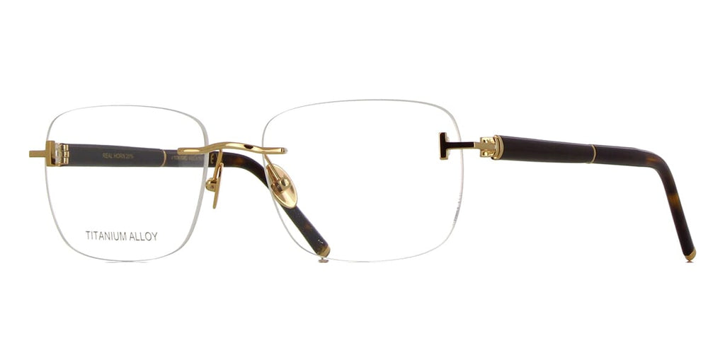 Tom Ford TF5956-P #colour_shiny gold with real horn