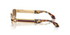 #colour_versace-gold-dark-brown