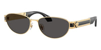 #colour_versace-gold-dark-grey