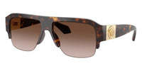 #colour_dark-havana-brown-gradient