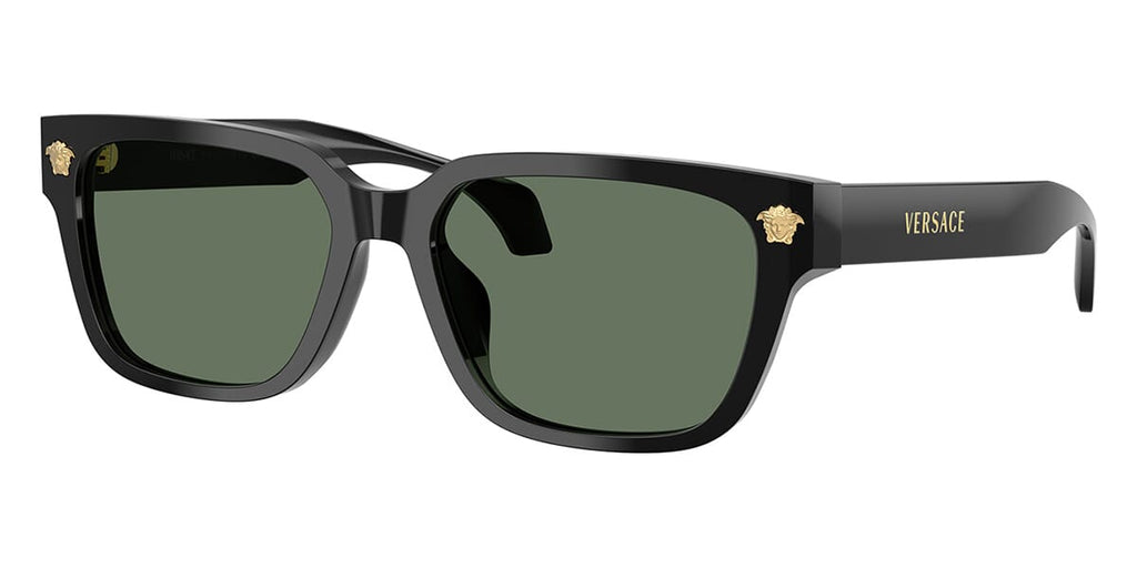 Versace VE4513D #colour_black/dark green