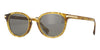 Zegna EZ0284-H/S #colour_shiny yellow havana/grey