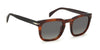 David Beckham DB7076/S B Brown Horn/Grey Gradient #colour_brown-horn-grey-gradient