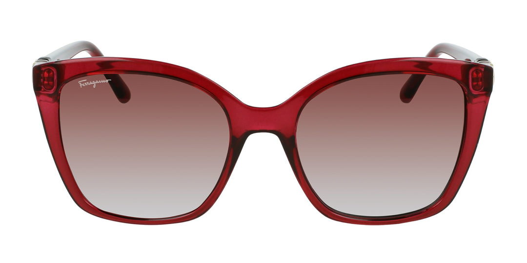 Ferragamao SF1026S Cat Eye Acetate Sunglasses (Women