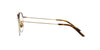 Giorgio Armani AR5130J Matte Pale Gold-Light Havana #colour_matte-pale-gold-light-havana