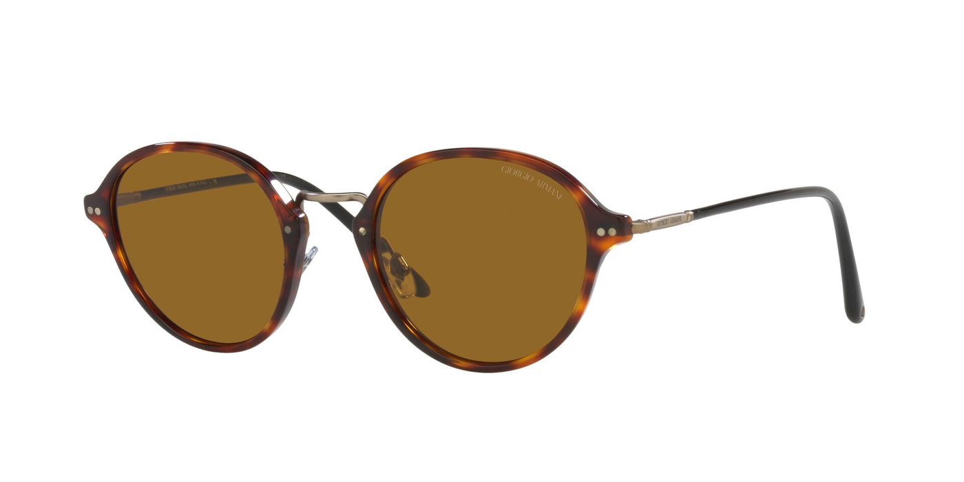 Giorgio Armani AR8139 Brown Tortoise/Brown #colour_brown-tortoise-brown