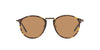 Giorgio Armani AR318SM Havana/Brown #colour_havana-brown