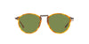 Giorgio Armani AR318SM Brown Tortoise/Green #colour_brown-tortoise-green