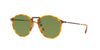 Giorgio Armani AR318SM Brown Tortoise/Green #colour_brown-tortoise-green