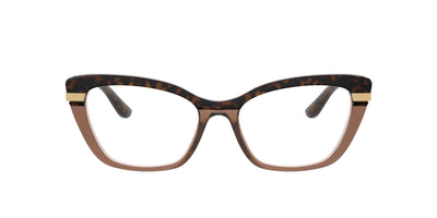 Dolce&Gabbana DG3325 Havana On Transparent Brown #colour_havana-on-transparent-brown