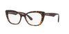 Dolce&Gabbana DG3360 Havana-Transparent Brown #colour_havana-transparent-brown