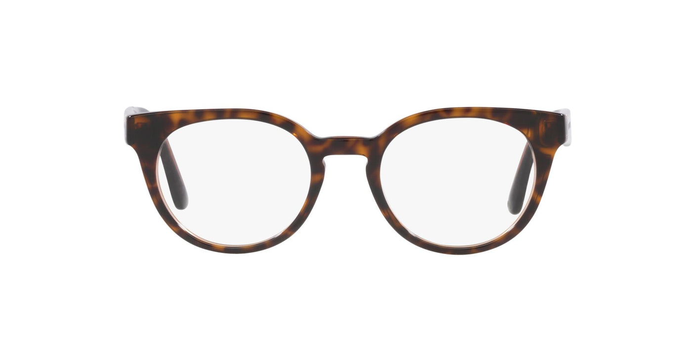 Dolce&Gabbana DG3361 Havana-Transparent Brown #colour_havana-transparent-brown