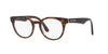 Dolce&Gabbana DG3361 Havana-Transparent Brown #colour_havana-transparent-brown