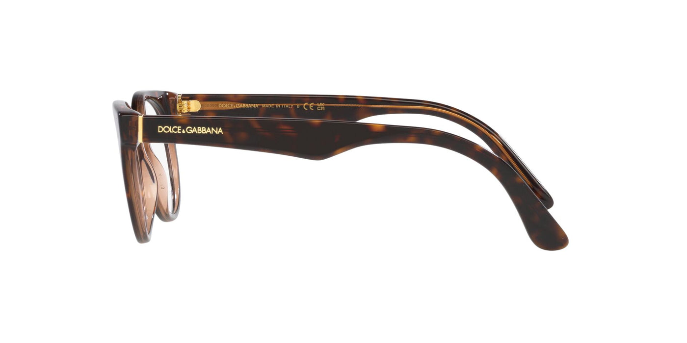 Dolce&Gabbana DG3361 Havana-Transparent Brown #colour_havana-transparent-brown