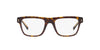 Dolce&Gabbana DG3362 Havana #colour_havana