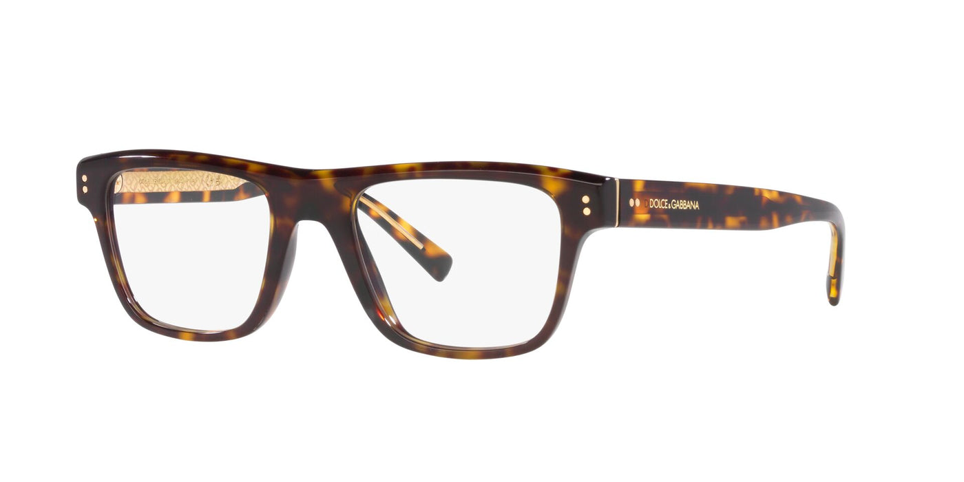 Dolce&Gabbana DG3362 Havana #colour_havana