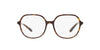 Dolce&Gabbana DG3364 Havana #colour_havana