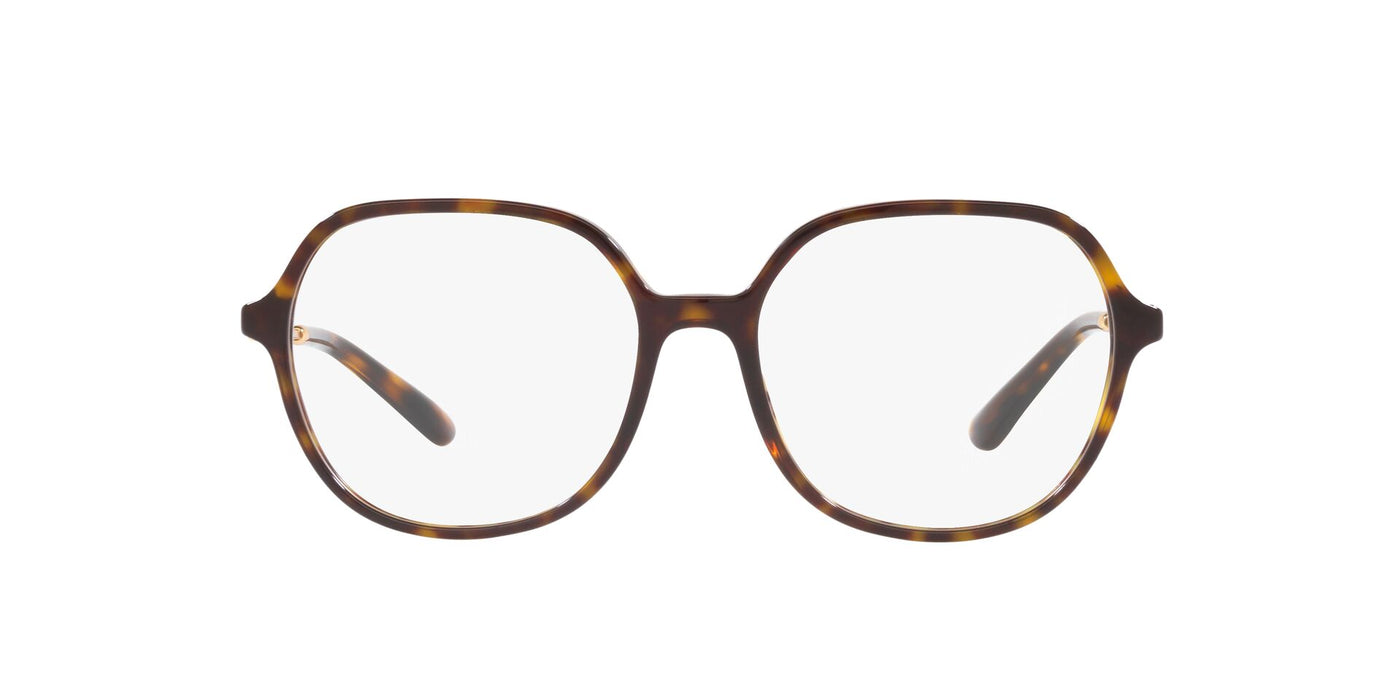 Dolce&Gabbana DG3364 Havana #colour_havana