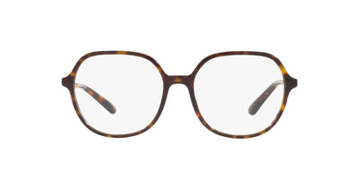 Dolce&Gabbana DG3364 Havana #colour_havana