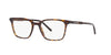 Dolce&Gabbana DG3365 Havana #colour_havana