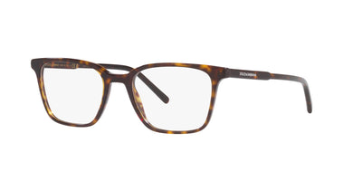 Dolce&Gabbana DG3365 Havana #colour_havana