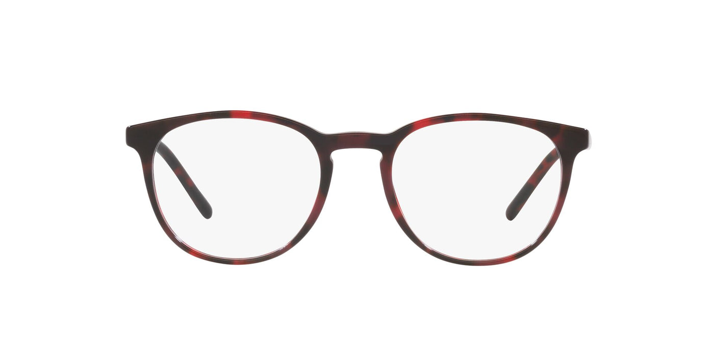 Dolce&Gabbana DG3366 Red Havana #colour_red-havana