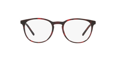 Dolce&Gabbana DG3366 Red Havana #colour_red-havana