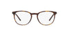 Dolce&Gabbana DG3366 Havana #colour_havana