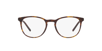 Dolce&Gabbana DG3366 Havana #colour_havana