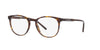 Dolce&Gabbana DG3366 Havana #colour_havana