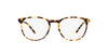 Dolce&Gabbana DG3366 Yellow Havana #colour_yellow-havana