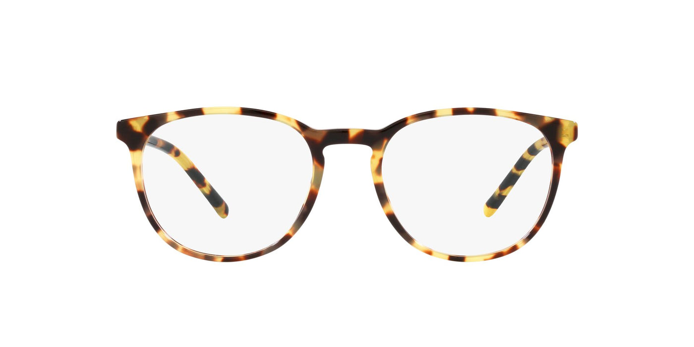 Dolce&Gabbana DG3366 Yellow Havana #colour_yellow-havana