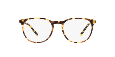 Dolce&Gabbana DG3366 Yellow Havana #colour_yellow-havana