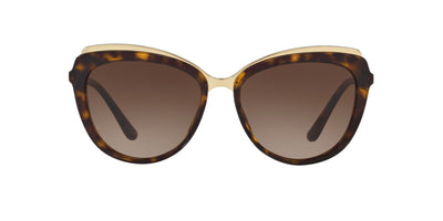 Dolce&Gabbana DG4304 Dark Tortoise/Brown #colour_dark-tortoise-brown