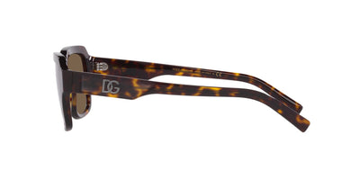 Dolce&Gabbana DG4402 Havana/Dark Brown #colour_havana-dark-brown
