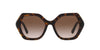 Dolce&Gabbana DG4406 Havana/Gradient Brown #colour_havana-gradient-brown
