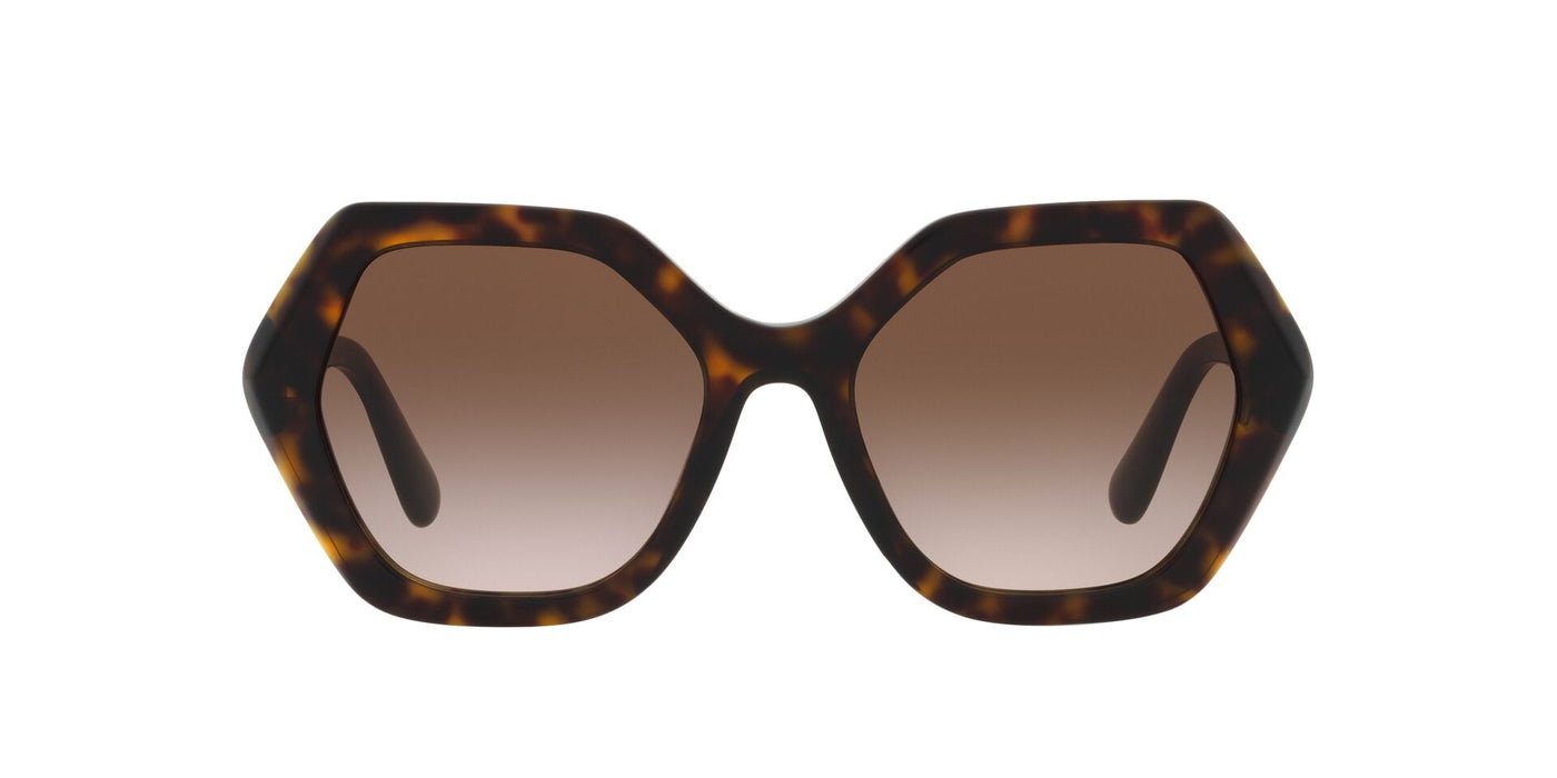 Dolce&Gabbana DG4406 Havana/Gradient Brown #colour_havana-gradient-brown