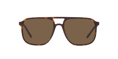 Dolce&Gabbana DG4423 Havana/Dark Brown #colour_havana-dark-brown