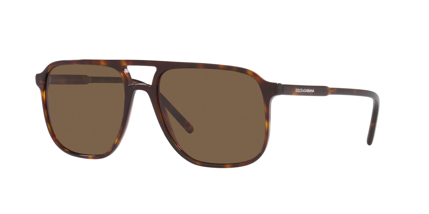 Dolce&Gabbana DG4423 Havana/Dark Brown #colour_havana-dark-brown